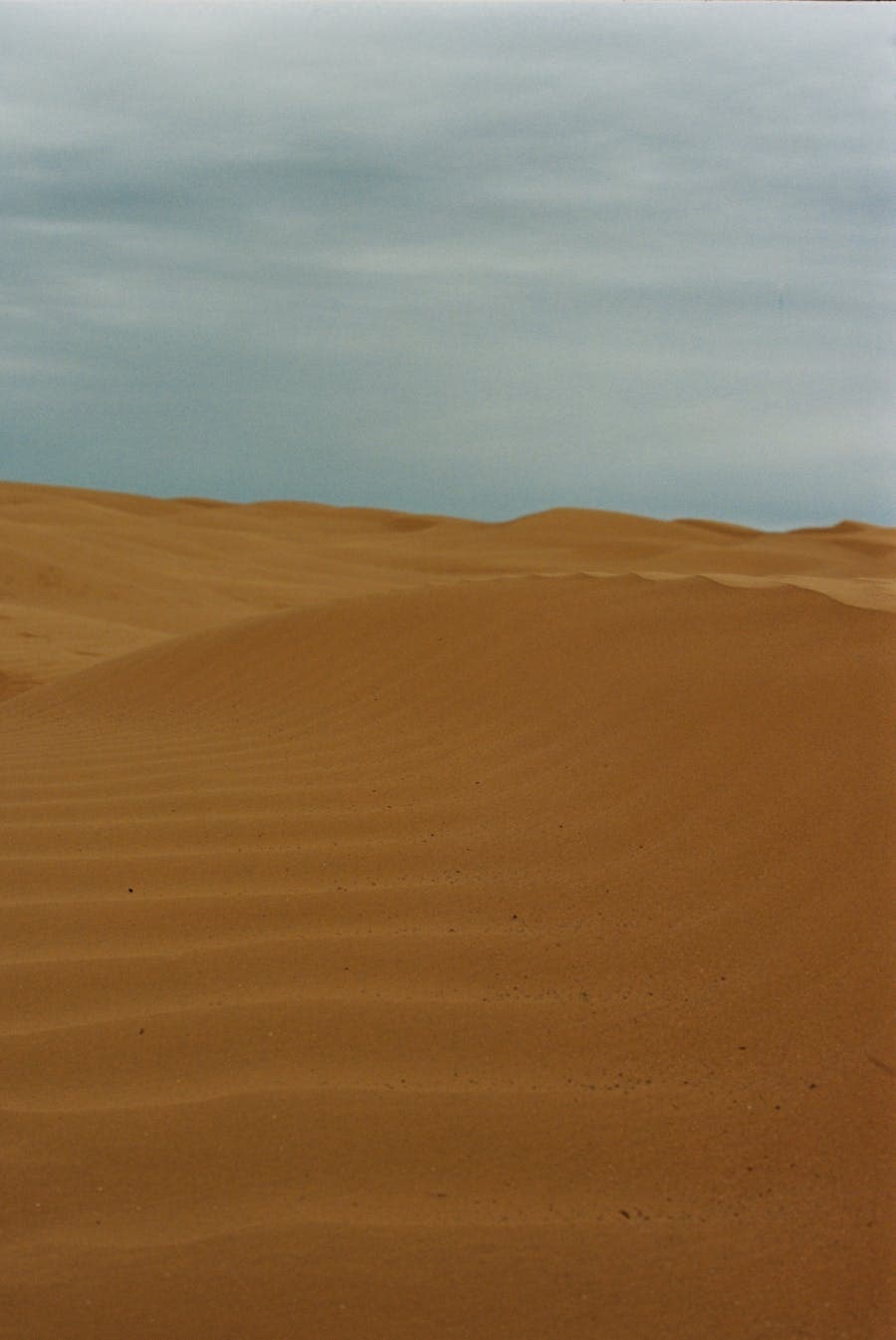 Soft desert dunes below a pale sky.